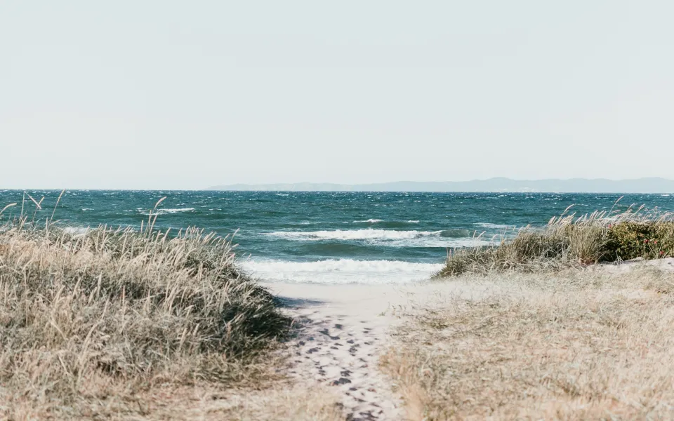 Huisvesting stage Denemarken