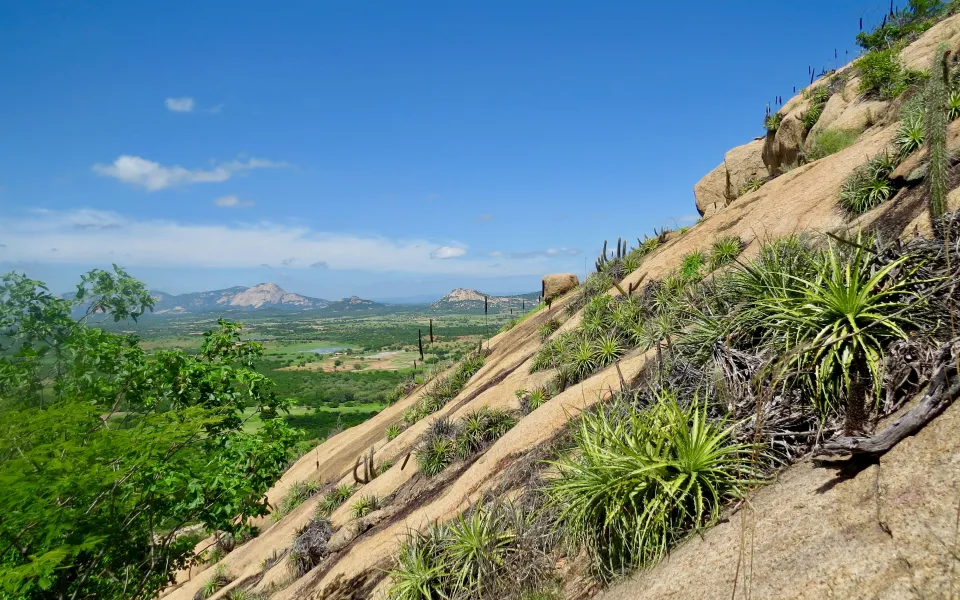 Kosten stage Brazilie