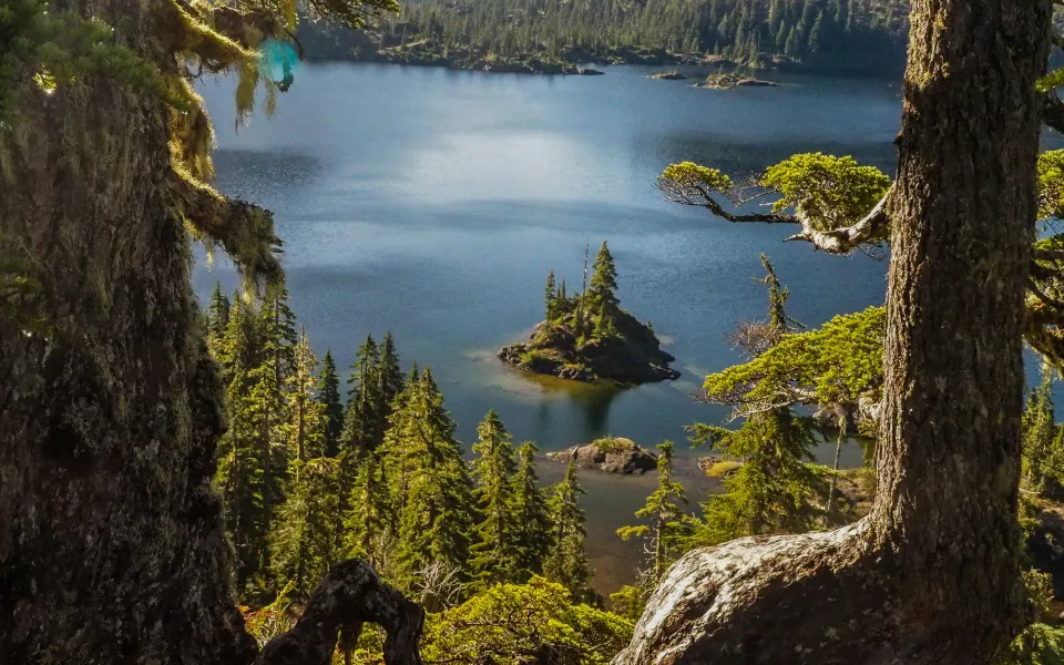 Taalreis stage Canada