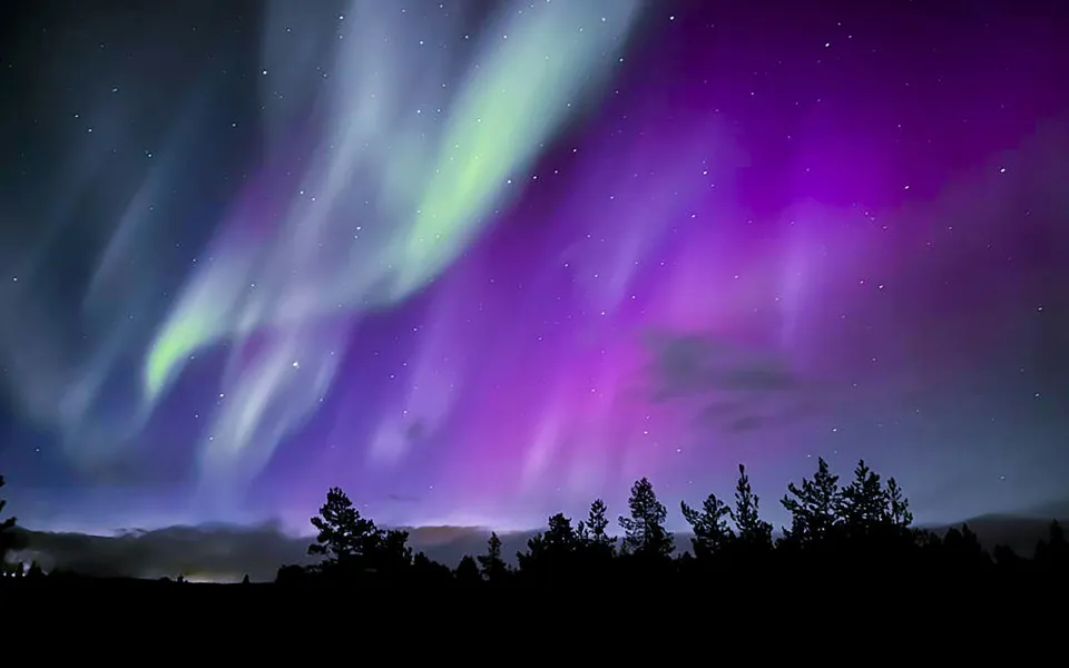 Taalreis stage Finland