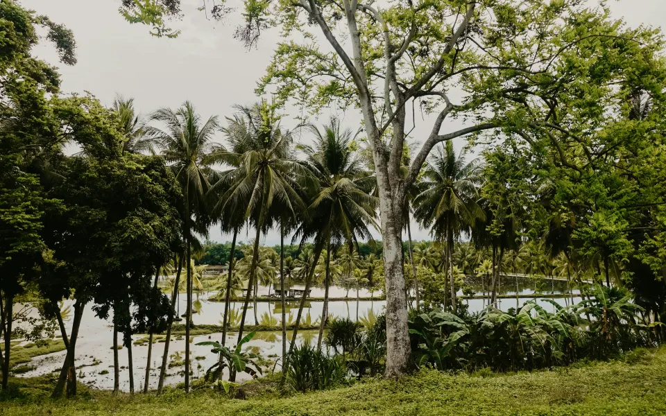 Taalreis stage Indonesie