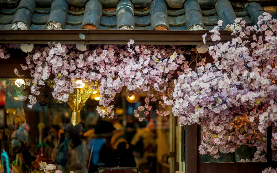 Verzekering stage Zuid-Korea