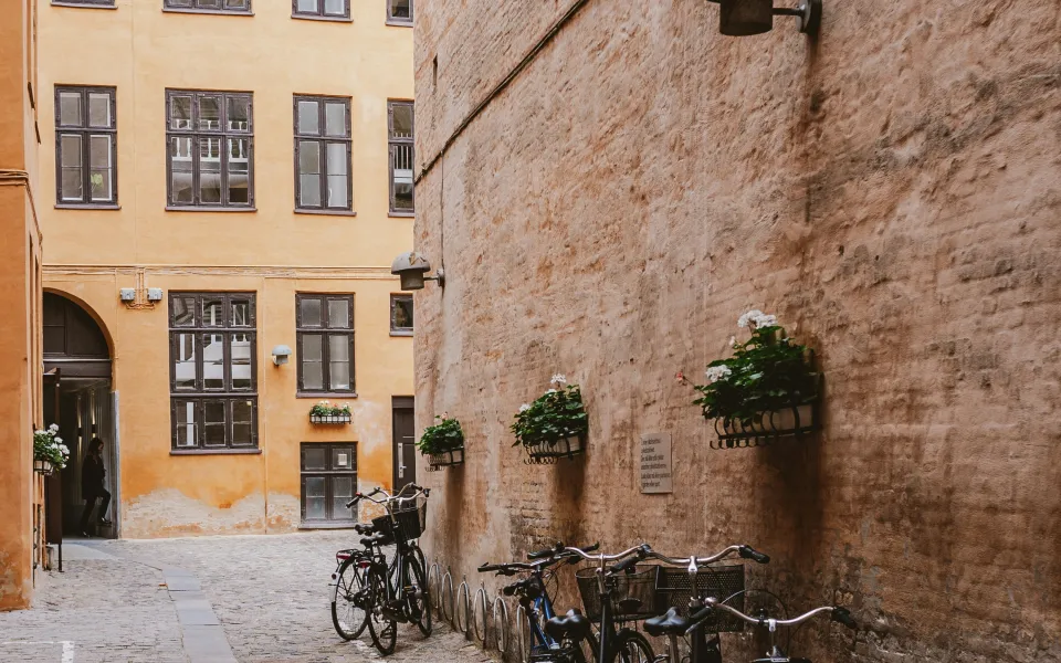 Visum stage Denemarken