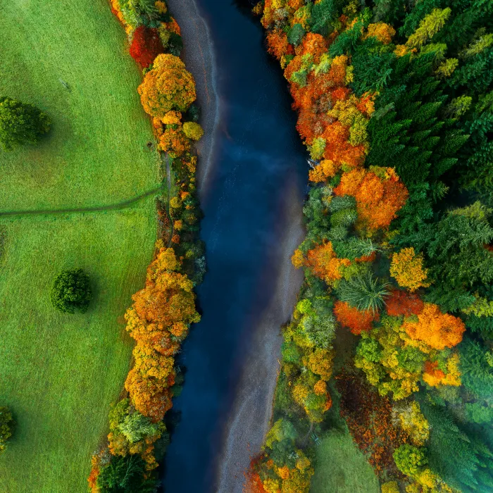 Zwitserland - AtSkool